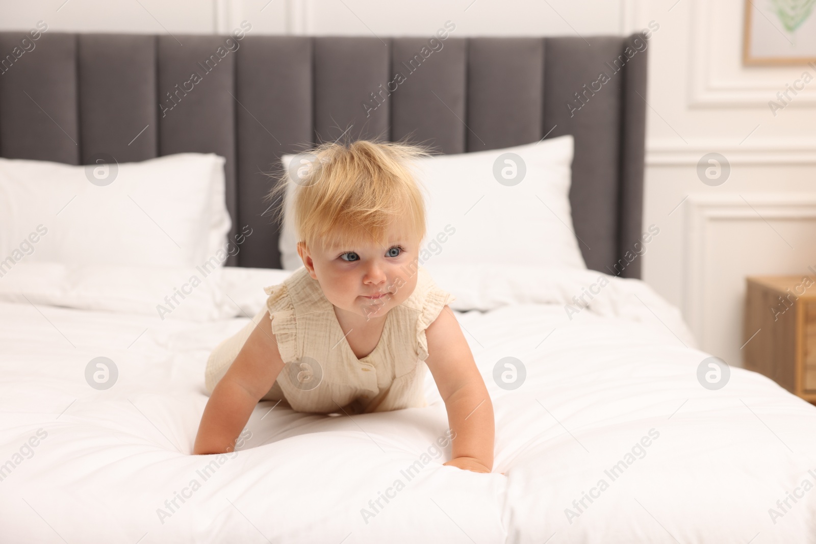 Cute baby girl in dress crawling on bed at home Photo of Cute baby girl in dress crawling on bed at home