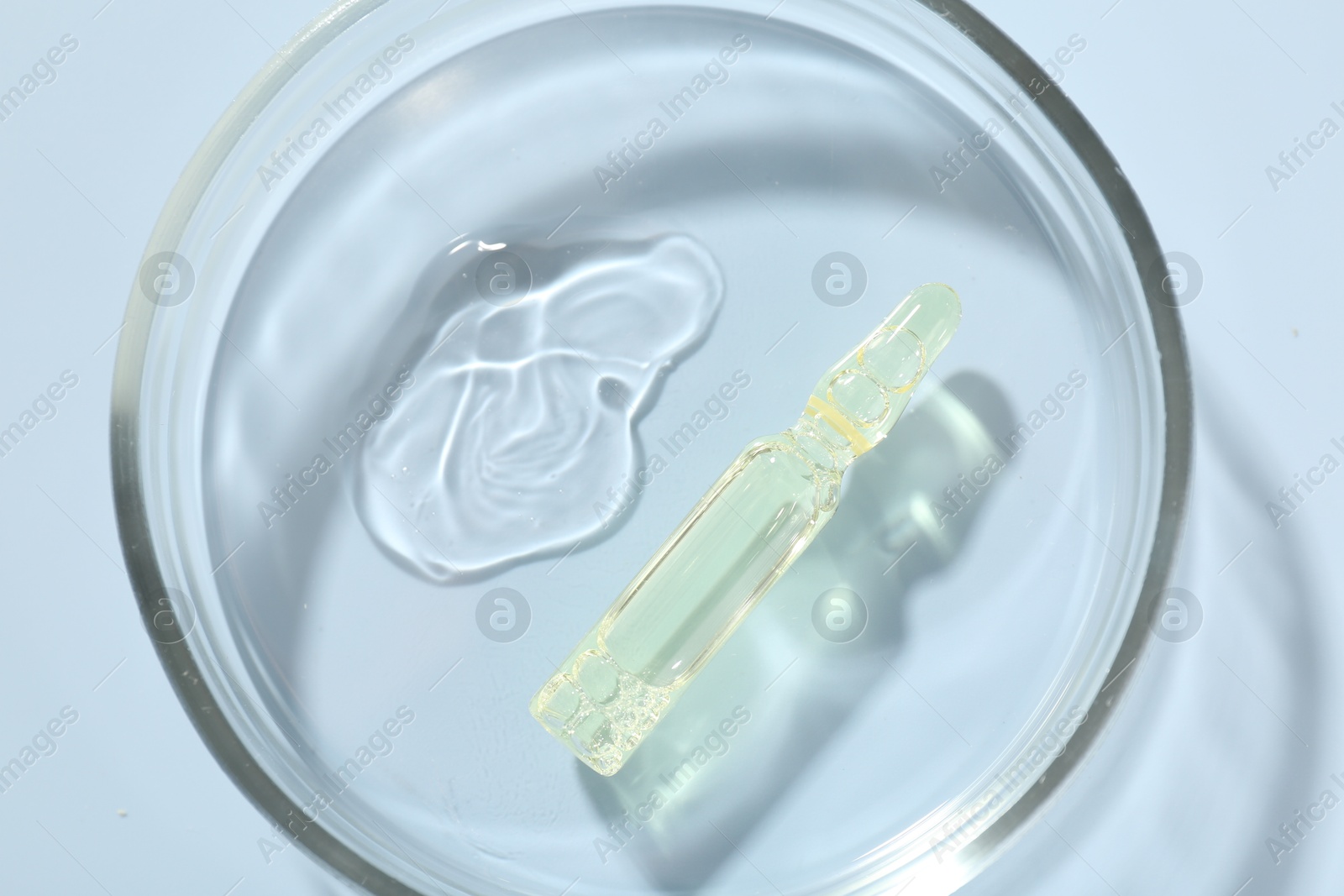 Glass ampoule with cosmetic product and Petri dish on light blue background, top view Photo of Glass ampoule with cosmetic product and Petri dish on light blue background, top view