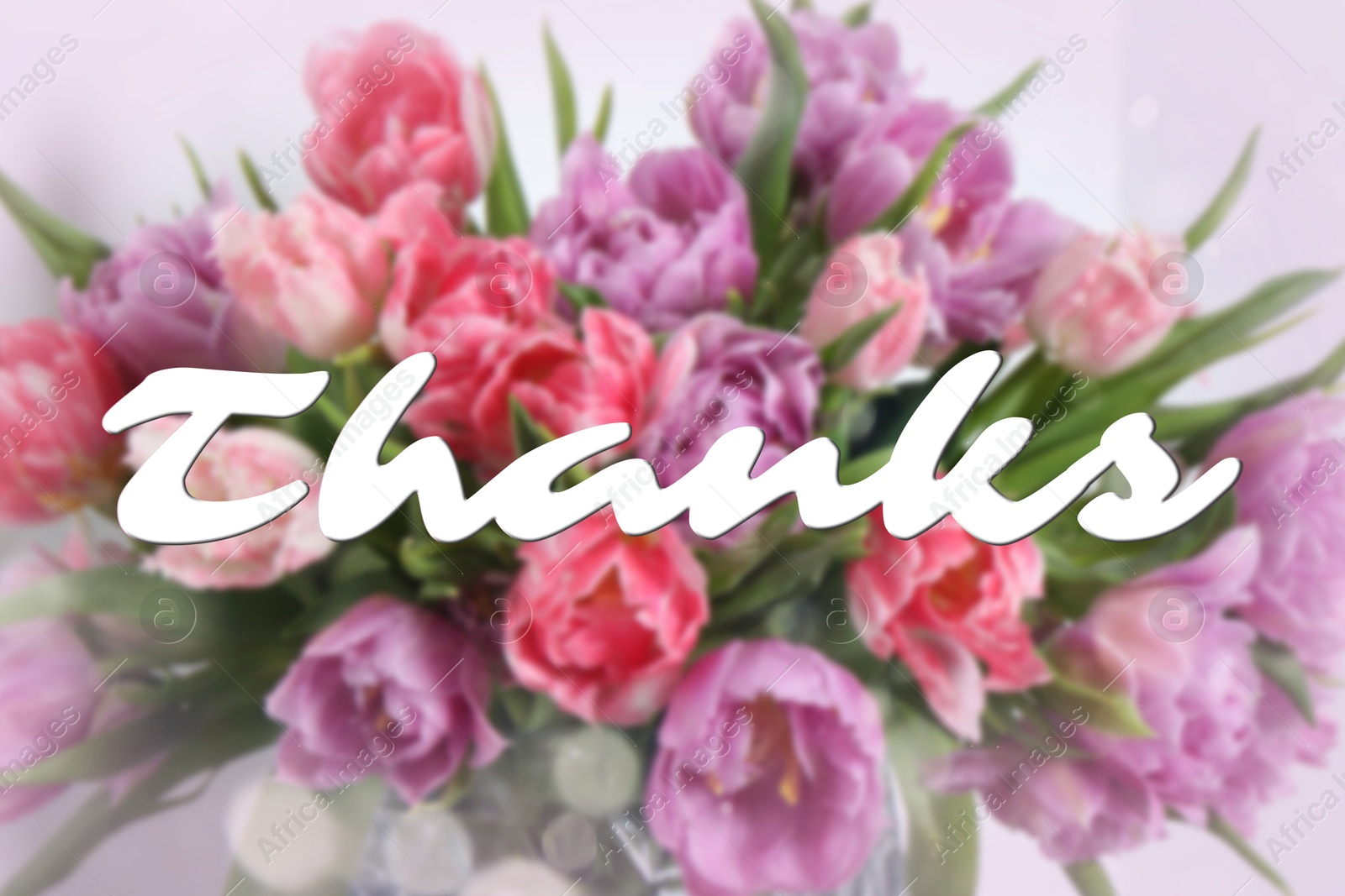 Thank You card design with bouquet of tulip flowers Image of Thank You card design with bouquet of tulip flowers