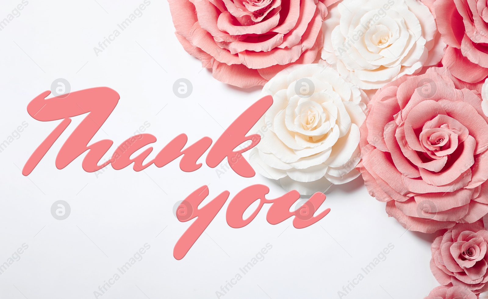 Thank You card design with paper roses on white background Image of Thank You card design with paper roses on white background