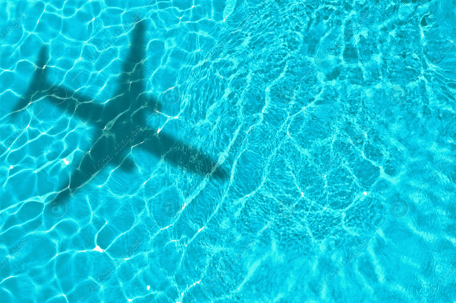 Flying airplane casting shadow on water, top view Image of Flying airplane casting shadow on water, top view
