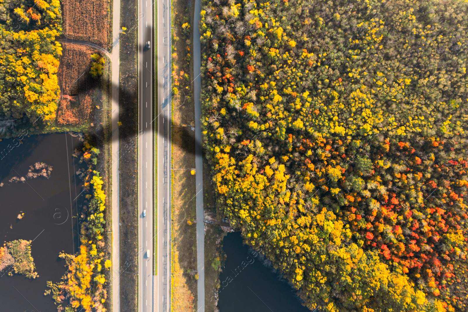 Flying airplane casting shadow on road bridge across river near beautiful autumn forest, top view Image of Flying airplane casting shadow on road bridge across river near beautiful autumn forest, top view
