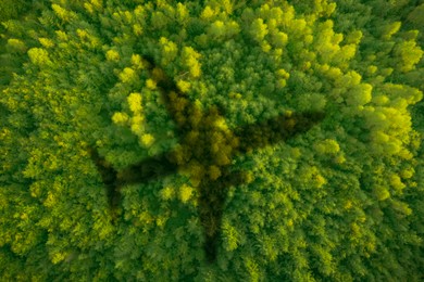 Image of Flying airplane casting shadow on forest, top view