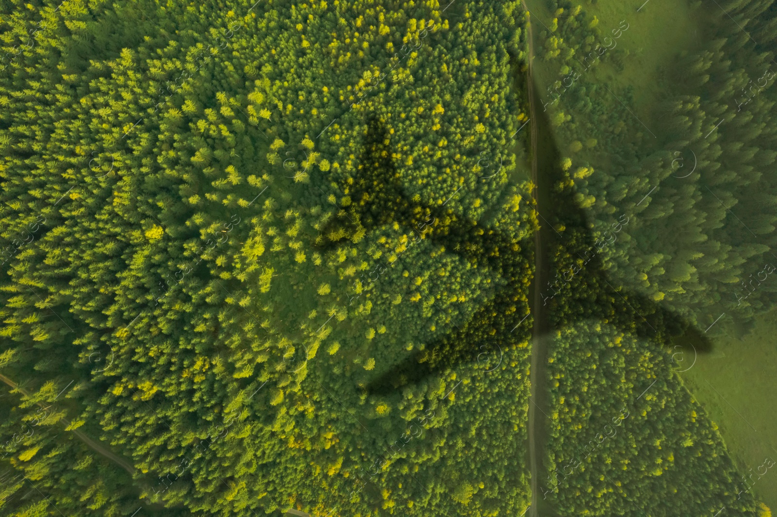 Flying airplane casting shadow on forest, top view Image of Flying airplane casting shadow on forest, top view