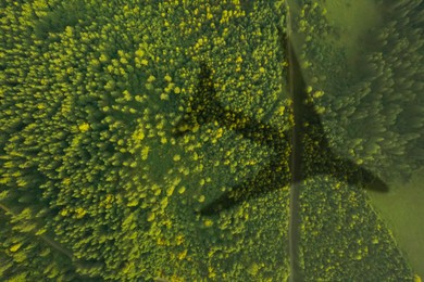 Image of Flying airplane casting shadow on forest, top view
