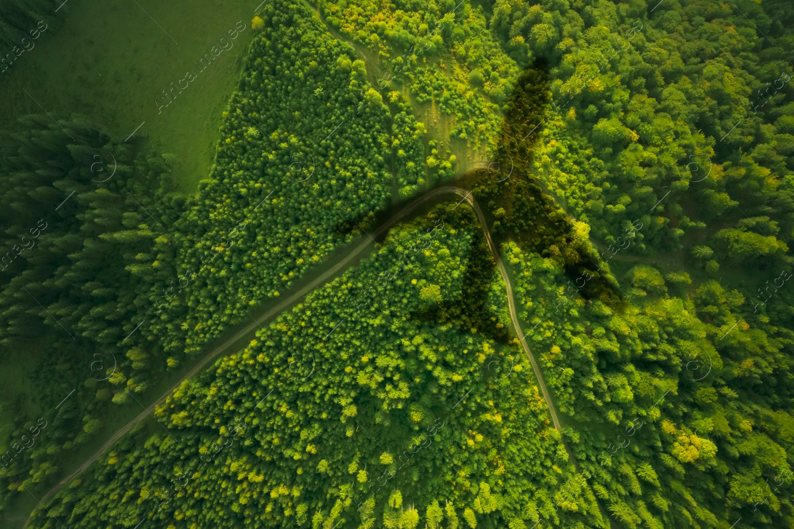 Flying airplane casting shadow on forest, top view Image of Flying airplane casting shadow on forest, top view
