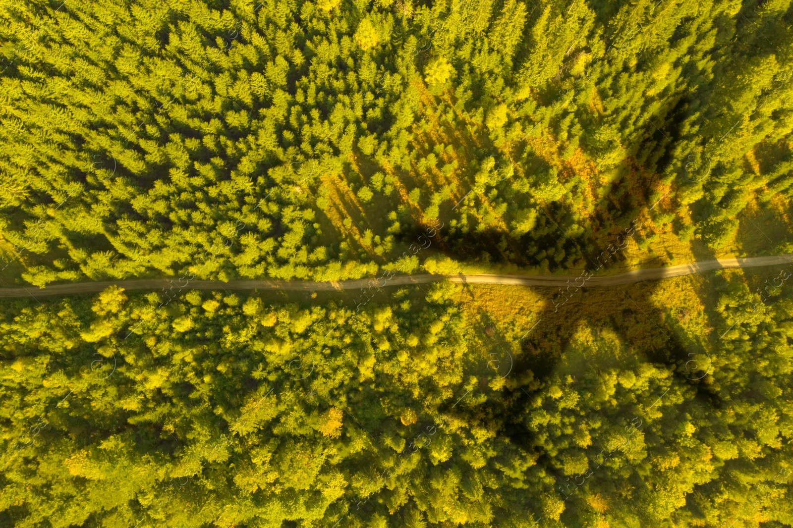 Flying airplane casting shadow on forest, top view Image of Flying airplane casting shadow on forest, top view