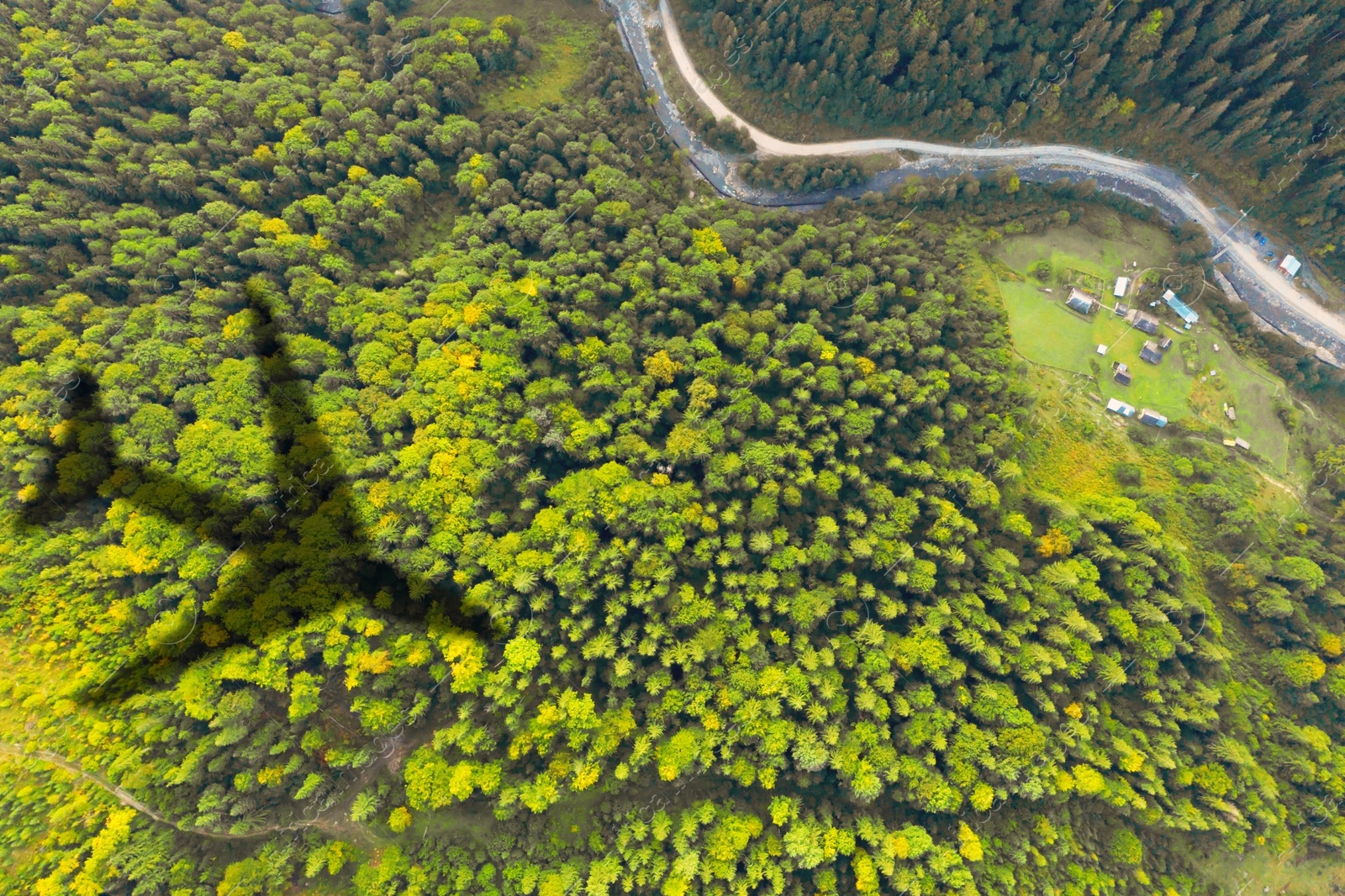 Flying airplane casting shadow on forest, top view Image of Flying airplane casting shadow on forest, top view