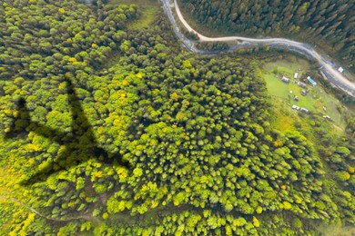 Image of Flying airplane casting shadow on forest, top view