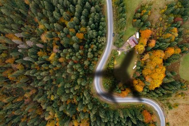 Image of Airplane flying above forest and casting shadow, top view