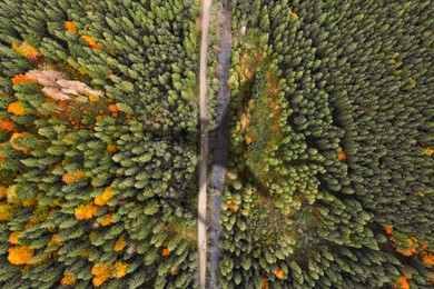 Image of Airplane flying above forest and casting shadow on road, river and trees, top view