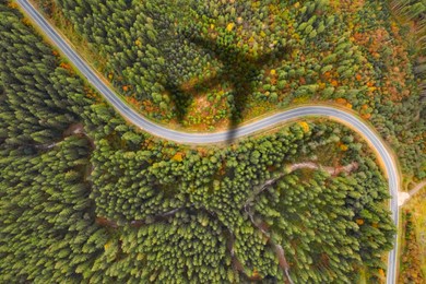Image of Airplane flying above forest and casting shadow on road and trees, top view