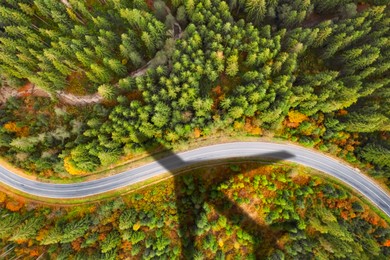 Image of Airplane flying above forest and casting shadow on road and trees, top view