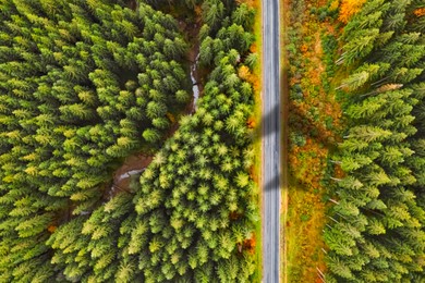 Image of Airplane flying above forest and casting shadow on road and trees, top view