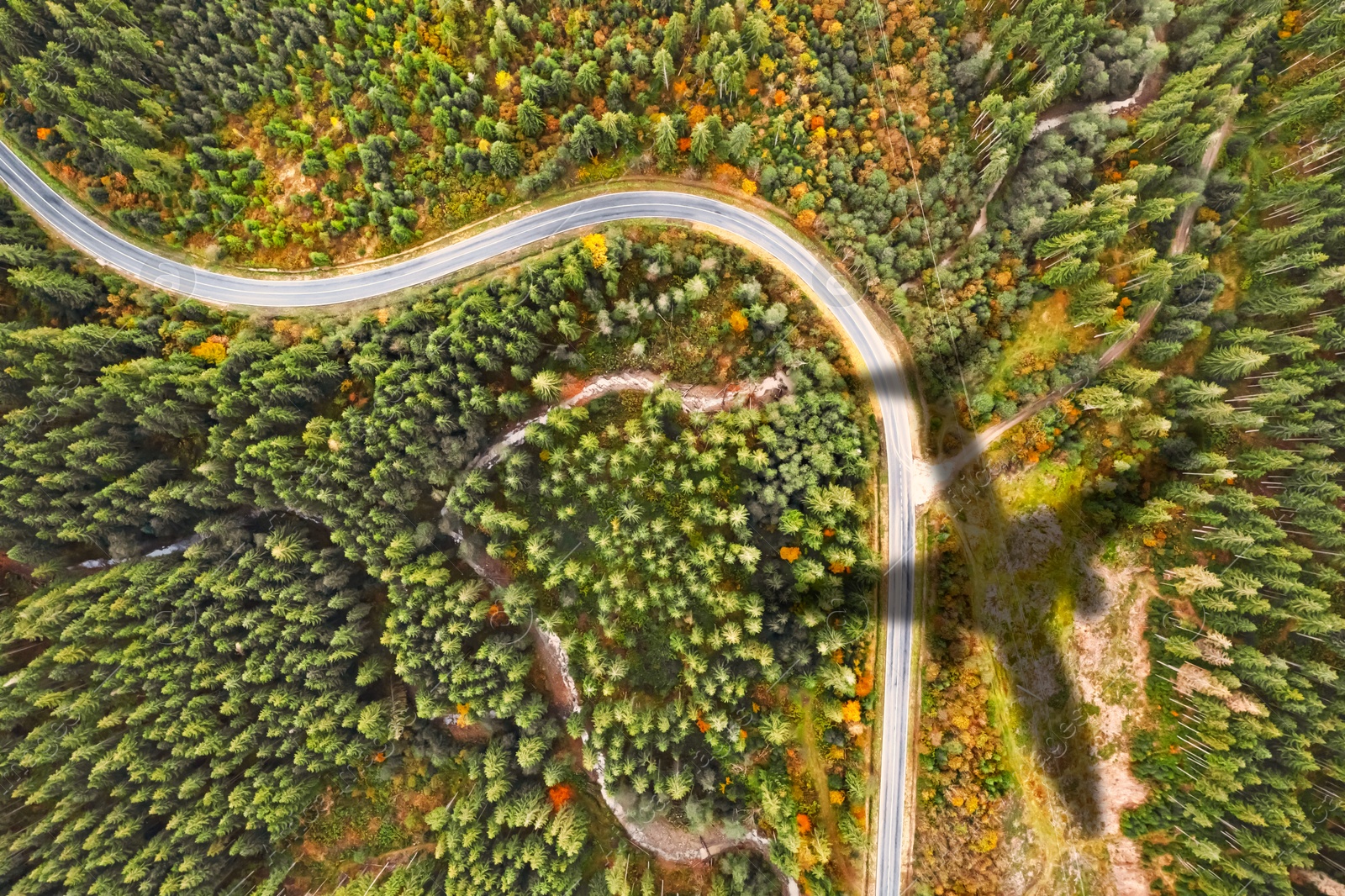 Airplane flying above forest and casting shadow on road and trees, top view Image of Airplane flying above forest and casting shadow on road and trees, top view