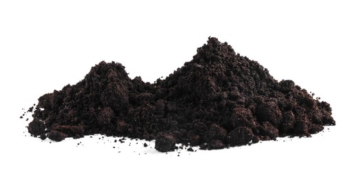 Photo of Pile of fresh soil isolated on white