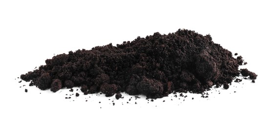 Photo of Pile of fresh soil isolated on white