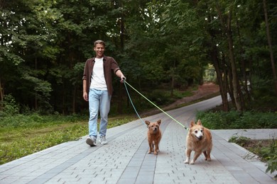 Photo of Young man walking his cute dogs outdoors