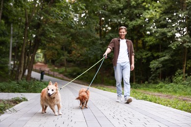 Photo of Young man walking his cute dogs outdoors, selective focus