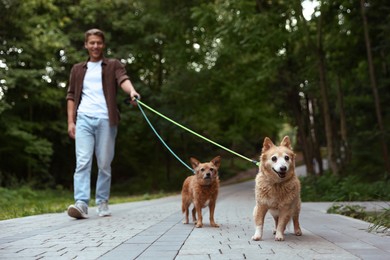 Photo of Young man walking his cute dogs outdoors, selective focus