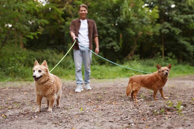 Photo of Young man walking his cute dogs outdoors, selective focus