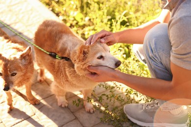 Photo of Young man petting his cute dog outdoors, closeup. Walking with pet