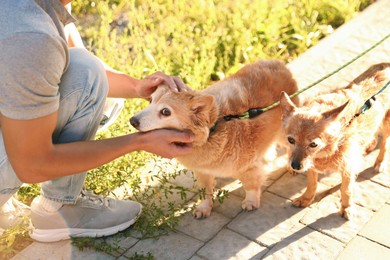 Photo of Young man petting his cute dog outdoors, closeup. Walking with pet