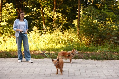 Photo of Young woman walking her cute dogs outdoors