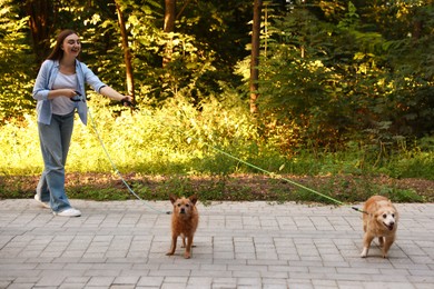 Photo of Young woman walking her cute dogs outdoors
