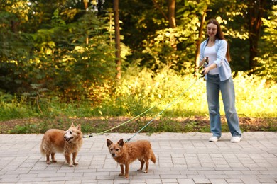 Photo of Young woman walking her cute dogs outdoors, selective focus