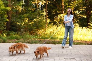 Photo of Young woman walking her cute dogs outdoors, selective focus