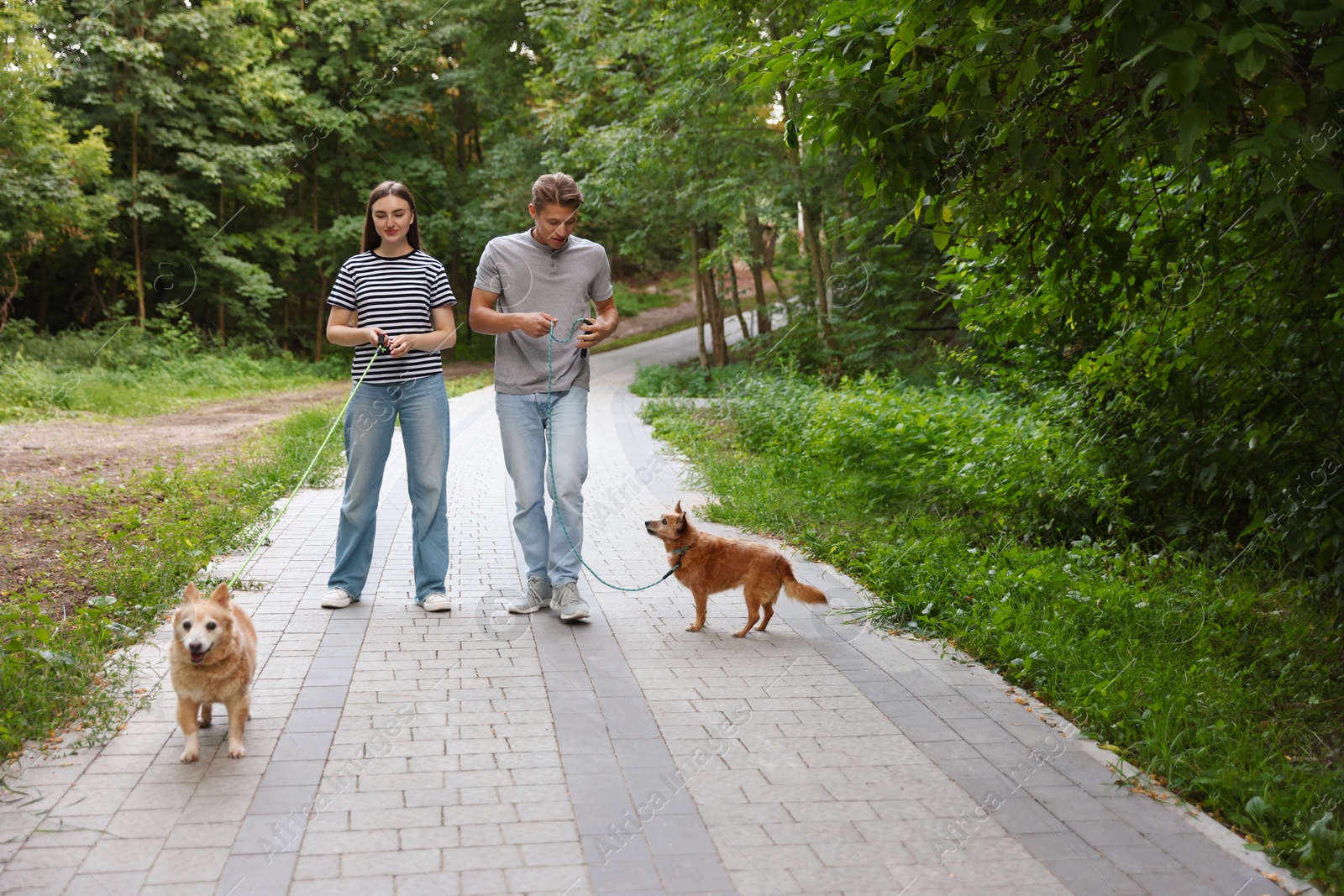 Photo of Couple walking their cute dogs in park