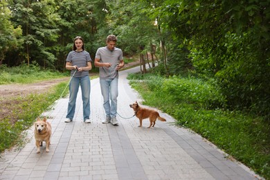 Photo of Couple walking their cute dogs in park