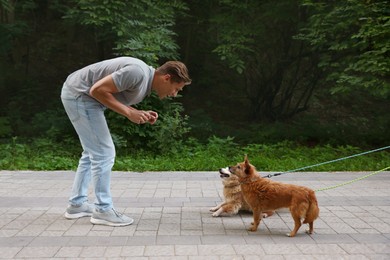 Photo of Young man walking his cute dogs outdoors