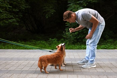 Photo of Young man walking his cute dogs outdoors
