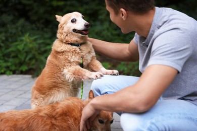 Photo of Young man walking his cute dogs outdoors