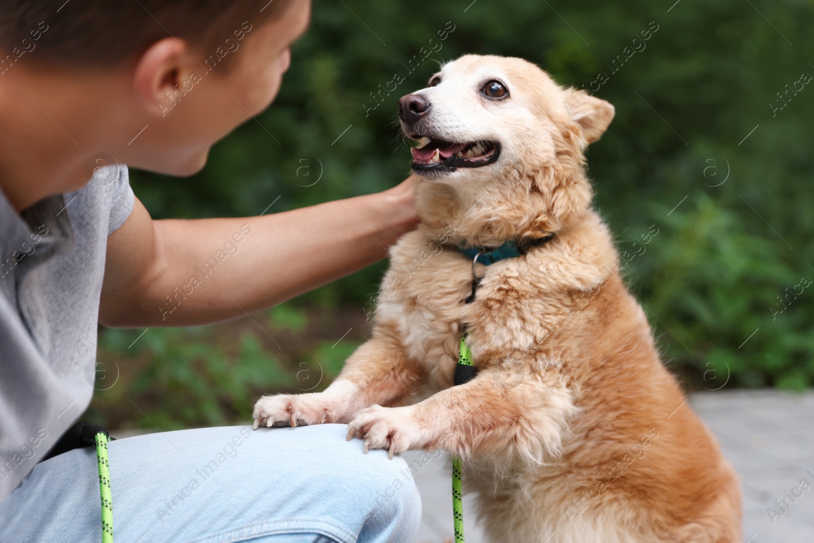 Photo of Young man walking his cute dog outdoors, closeup