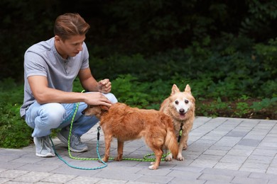 Photo of Young man petting his cute dogs while walking outdoors