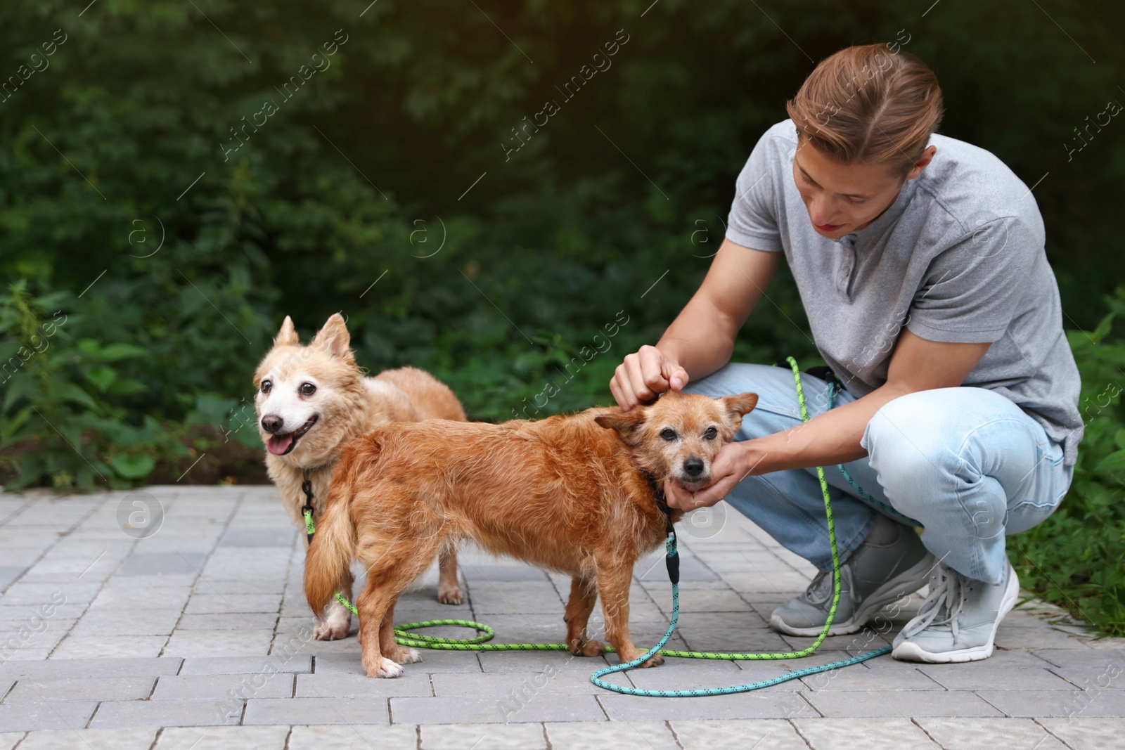 Photo of Young man petting his cute dogs while walking outdoors