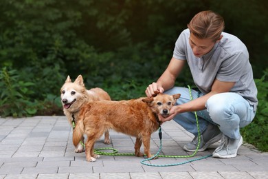 Photo of Young man petting his cute dogs while walking outdoors