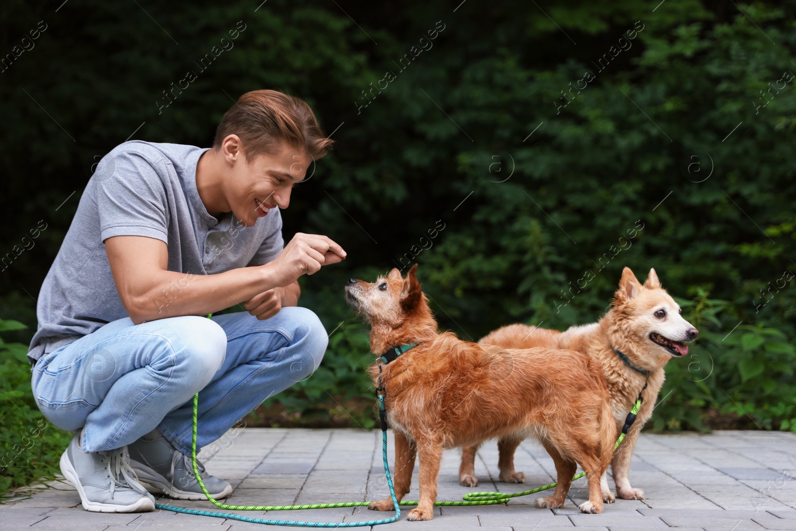 Photo of Young man giving treat to his cute dogs while walking outdoors