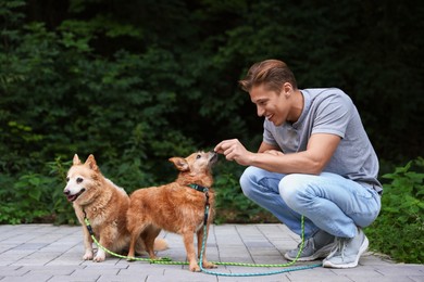 Photo of Young man giving treat to his cute dogs while walking outdoors