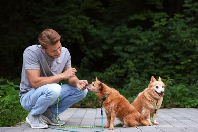 Photo of Young man walking his cute dogs outdoors