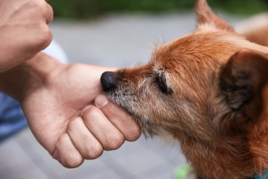Photo of Young man giving treat to his cute dog while walking outdoors, closeup