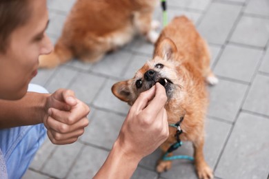 Photo of Young man giving treat to his cute dog while walking outdoors, closeup