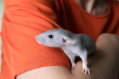 Photo of Woman with cute small rat, closeup view