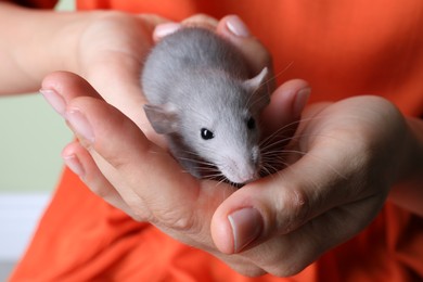 Photo of Woman holding cute small rat, closeup view