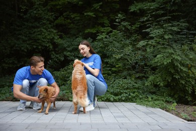 Photo of Volunteers with cute stray dogs outdoors, space for text
