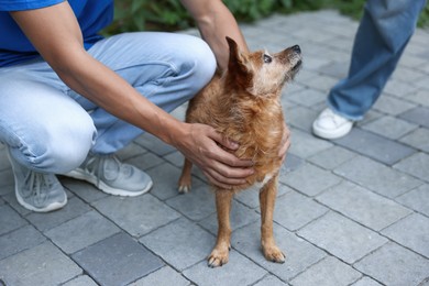 Photo of Volunteers with cute stray dog outdoors, closeup