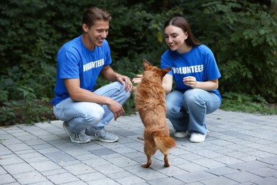 Photo of Happy volunteers with cute stray dog outdoors